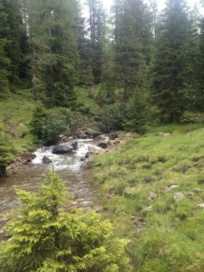 Ferienwohnung Biohof Laussnitzer In Rennweg Rennweg am Katschberg Eksteriør billede